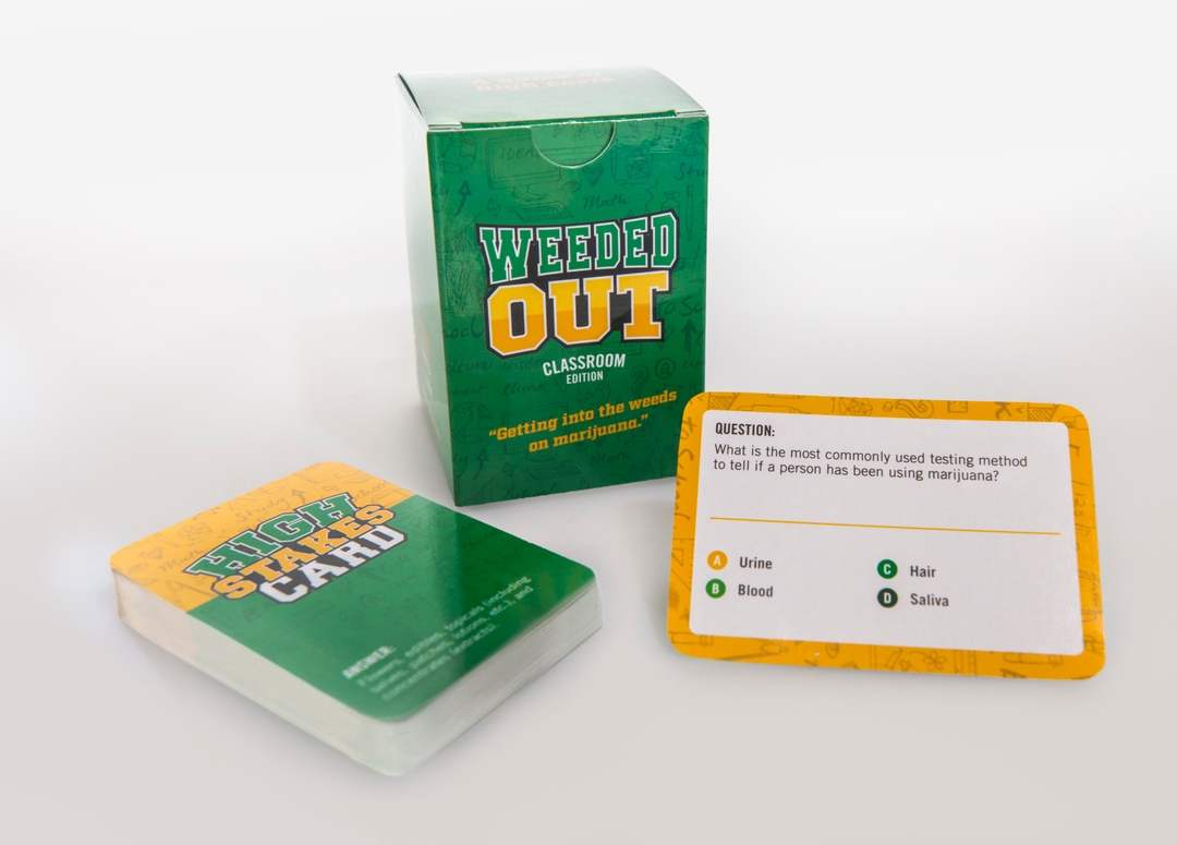 case study gallery-3 showcasing an in-depth visual representation of our project highlights and key achievements