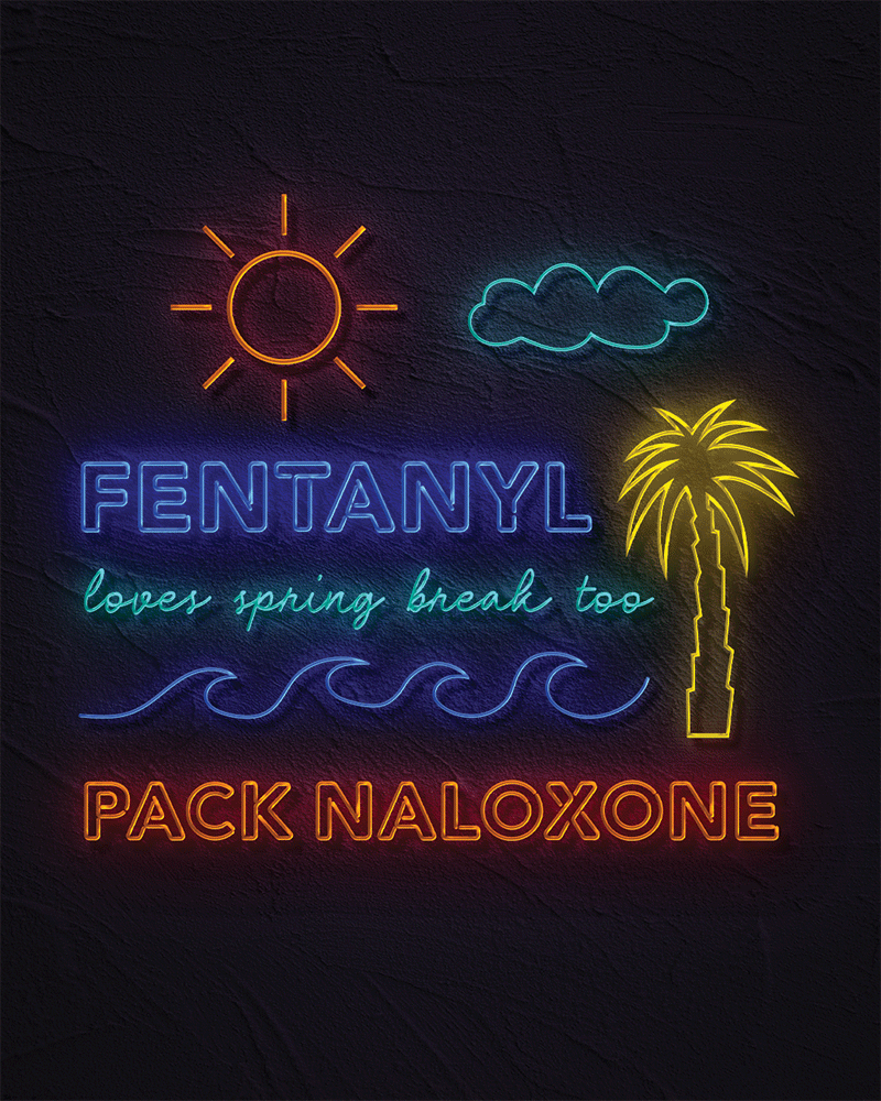 case study gallery-7 showcasing an in-depth visual representation of our project highlights and key achievements